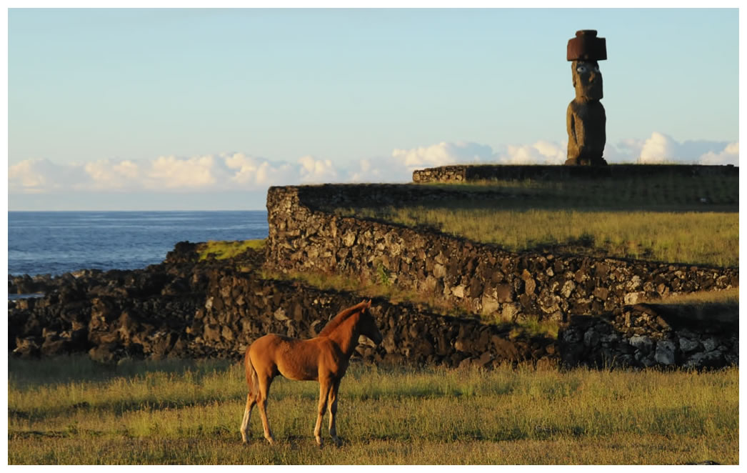 TOUR A THE MOAI OF EASTER ISLAND EASTER ISLAND SPIRIT